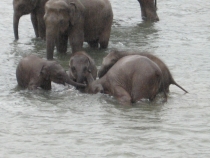 Сам себе турагент