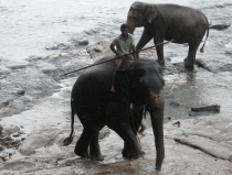 Сам себе турагент