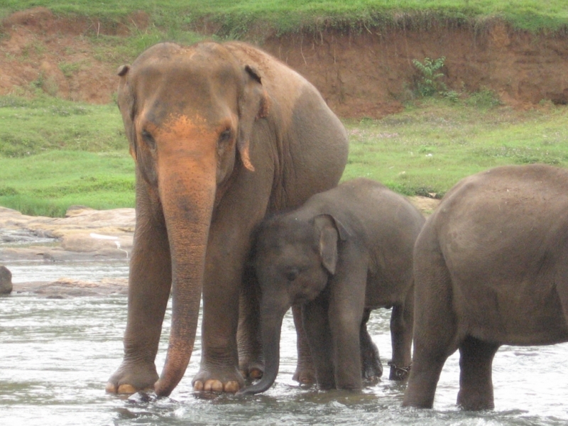 Сам себе турагент