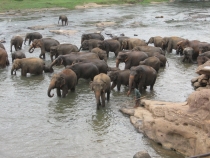 Сам себе турагент