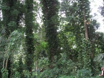 Сам себе турагент