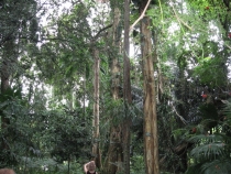 Сам себе турагент