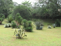 Сам себе турагент