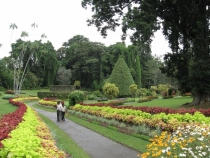 Сам себе турагент