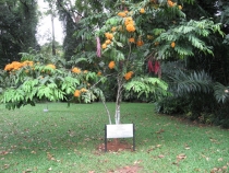 Сам себе турагент