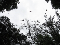 Сам себе турагент