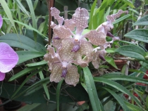 Сам себе турагент