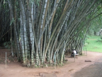 Сам себе турагент