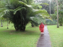 Сам себе турагент