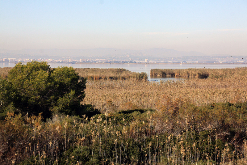 Albufera – Gandía – Barranc de l'Infern – Calp – Guadalest – Alicante – Torrevieja – Lorca – Sierra Espuña – Murcia (декабрь 2017)