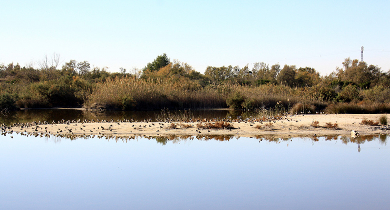 Albufera – Gandía – Barranc de l'Infern – Calp – Guadalest – Alicante – Torrevieja – Lorca – Sierra Espuña – Murcia (декабрь 2017)