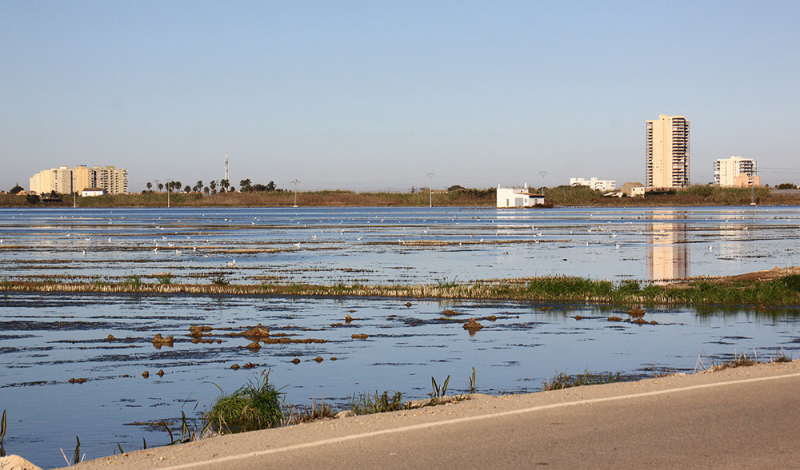 Albufera – Gandía – Barranc de l'Infern – Calp – Guadalest – Alicante – Torrevieja – Lorca – Sierra Espuña – Murcia (декабрь 2017)