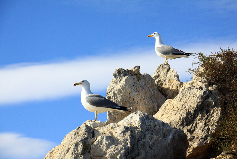 Albufera – Gandía – Barranc de l'Infern – Calp – Guadalest – Alicante – Torrevieja – Lorca – Sierra Espuña – Murcia (декабрь 2017)