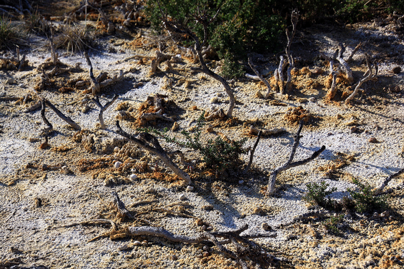 Albufera – Gandía – Barranc de l'Infern – Calp – Guadalest – Alicante – Torrevieja – Lorca – Sierra Espuña – Murcia (декабрь 2017)