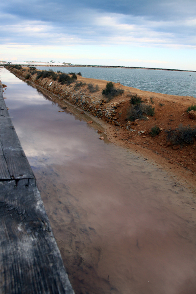 Albufera – Gandía – Barranc de l'Infern – Calp – Guadalest – Alicante – Torrevieja – Lorca – Sierra Espuña – Murcia (декабрь 2017)