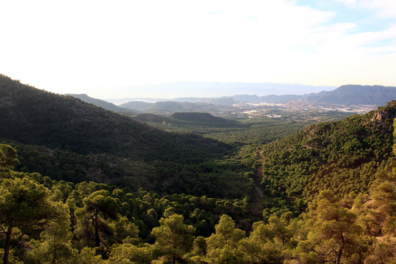 Albufera – Gandía – Barranc de l'Infern – Calp – Guadalest – Alicante – Torrevieja – Lorca – Sierra Espuña – Murcia (декабрь 2017)