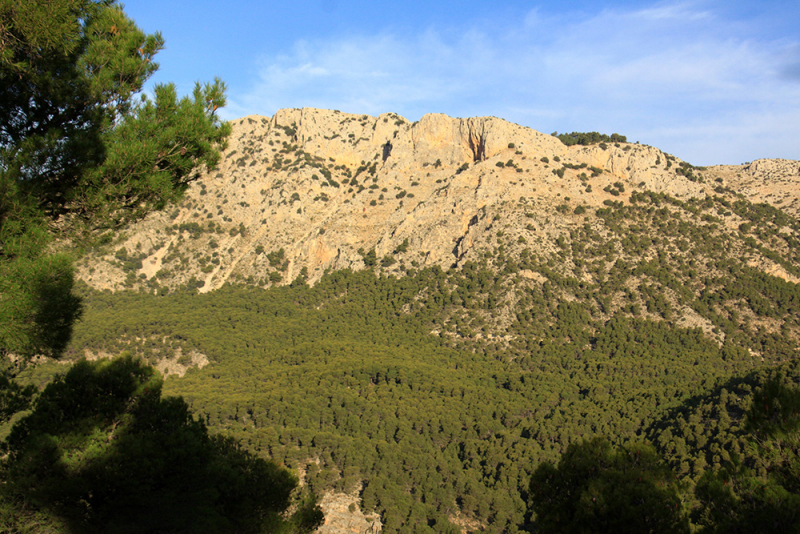 Albufera – Gandía – Barranc de l'Infern – Calp – Guadalest – Alicante – Torrevieja – Lorca – Sierra Espuña – Murcia (декабрь 2017)