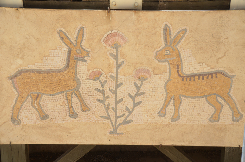 Иордания: Хождение за два моря! Иордания: Хождение за два моря!