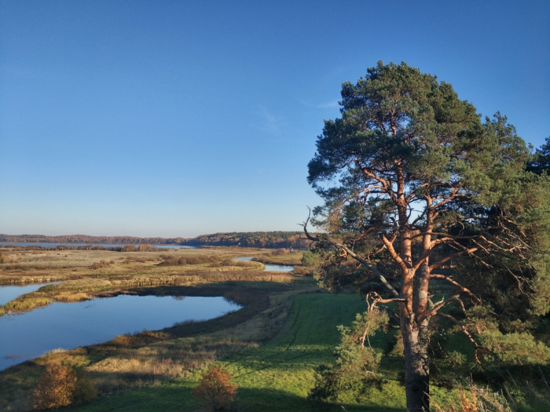 Псков Пушкинские Горы Изборск из Москвы осенью