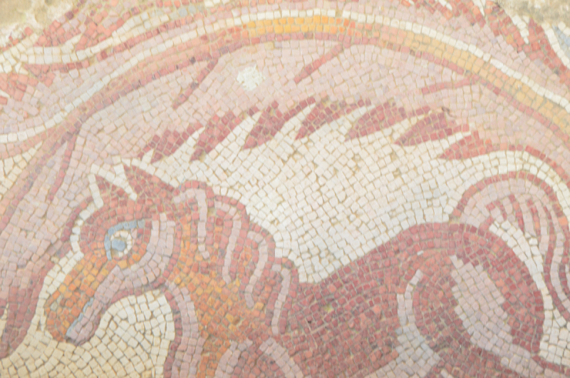 Иордания: Хождение за два моря!