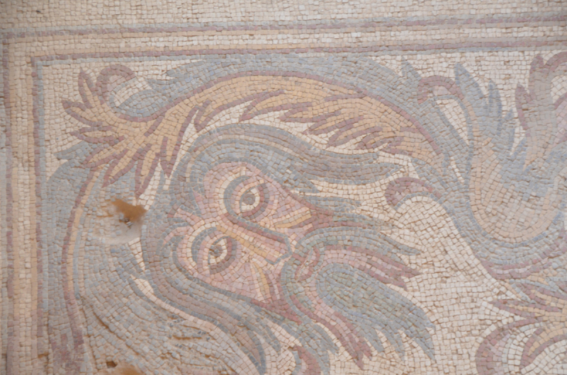 Иордания: Хождение за два моря! Иордания: Хождение за два моря!