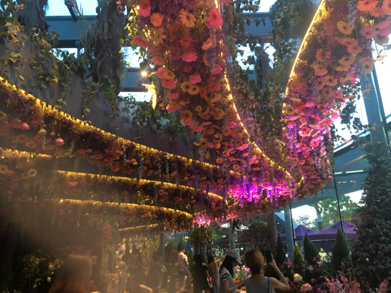 Расскажу я вам про Сингапур