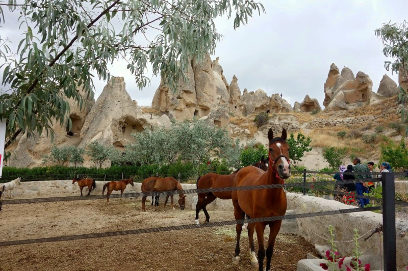 Каппадокия. Зачем туда ехать?