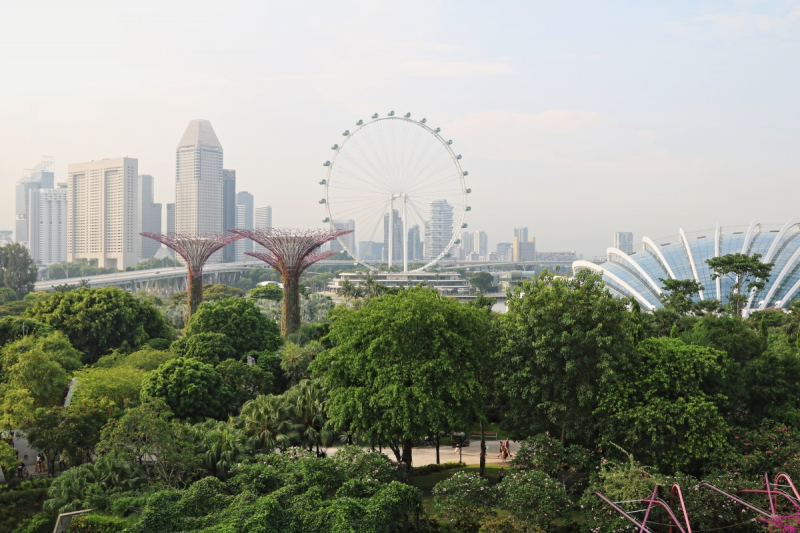 Путешествие  по Юго-Восточной Азии - 2019: часть 2. Сингапур