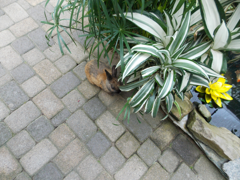 От Перми до Астрахани