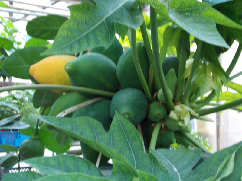 От Перми до Астрахани