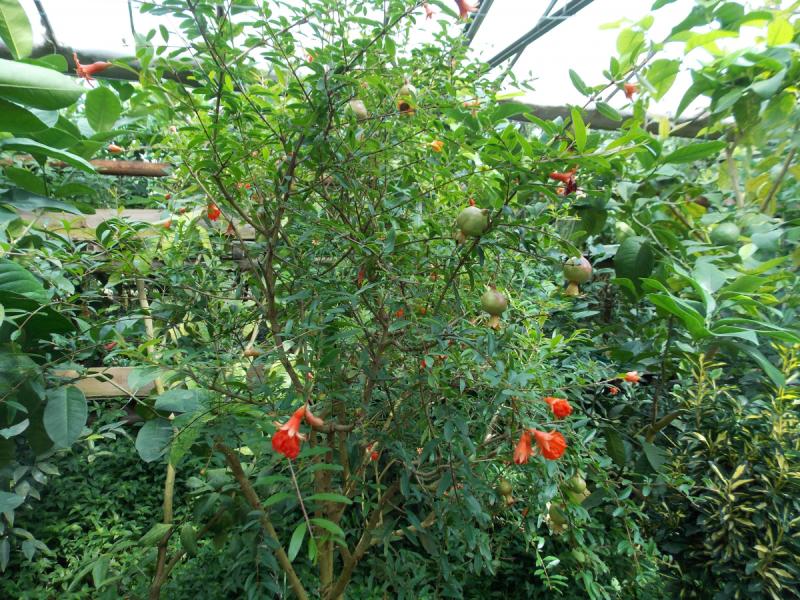 От Перми до Астрахани