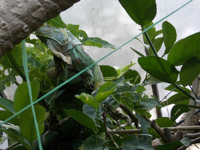 От Перми до Астрахани