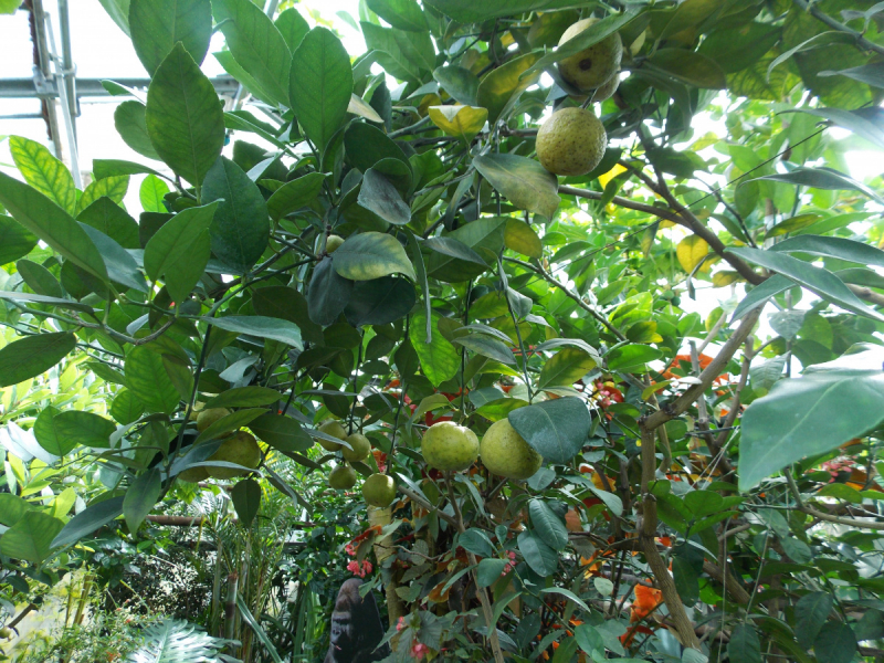 От Перми до Астрахани