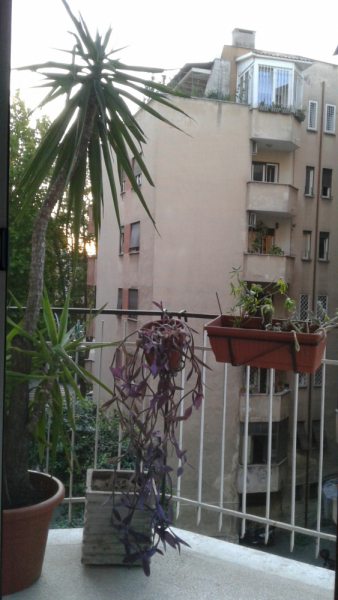 La mia vita. Римские записки, дневник онлайн