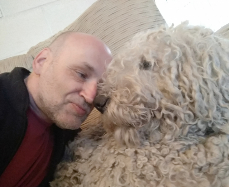 Тратата, мы везём с собой кота, и ещё с собой кота, и ещё собаку (авто, Европа, 30000 км)