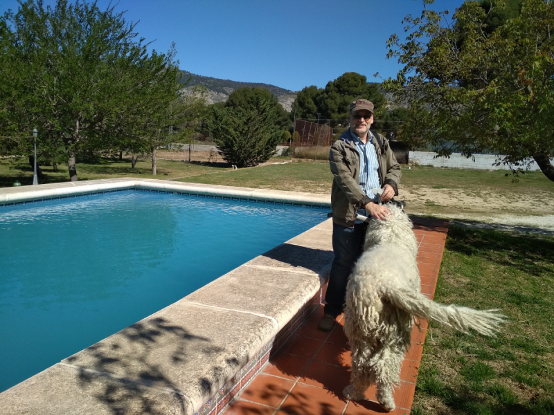 Тратата, мы везём с собой кота, и ещё с собой кота, и ещё собаку (авто, Европа, 30000 км)