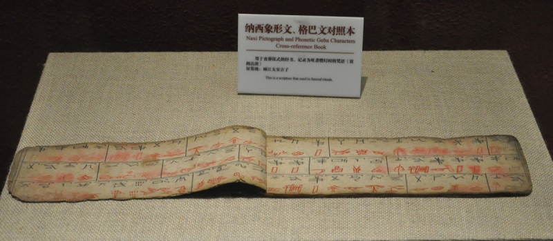 Музей культуры донгма