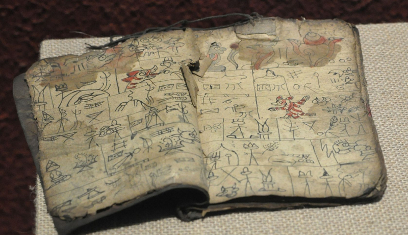 Музей культуры донгма