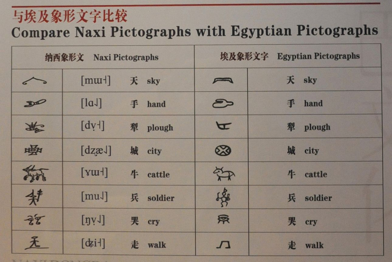 Музей культуры донгма