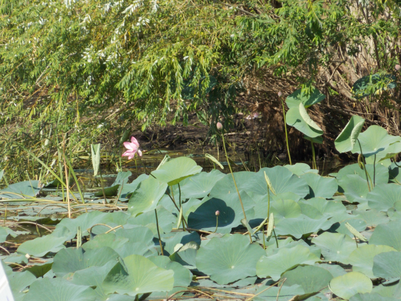 От Перми до Астрахани