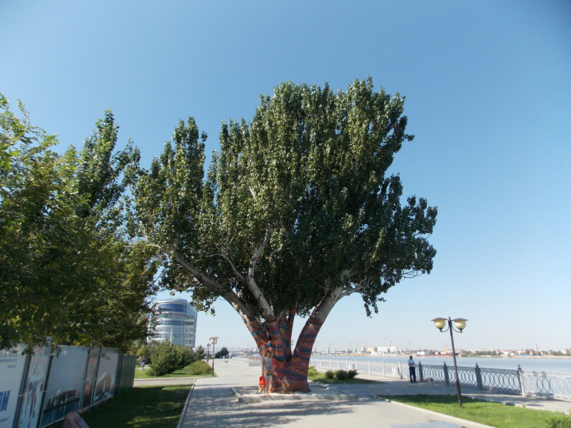 От Перми до Астрахани