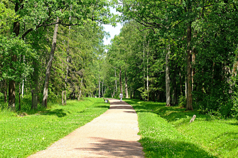 Форты Кронштадта, Баболовская ванна,Батарея на Красной Горке,Адамова Голова..