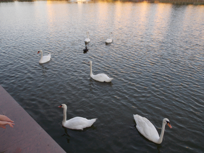 От Перми до Астрахани