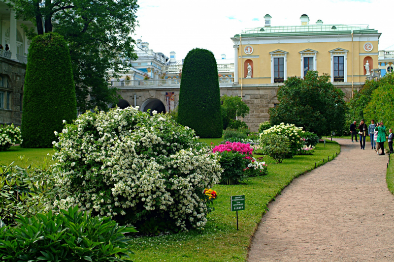 Форты Кронштадта, Баболовская ванна,Батарея на Красной Горке,Адамова Голова..