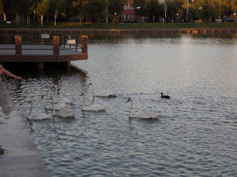 От Перми до Астрахани