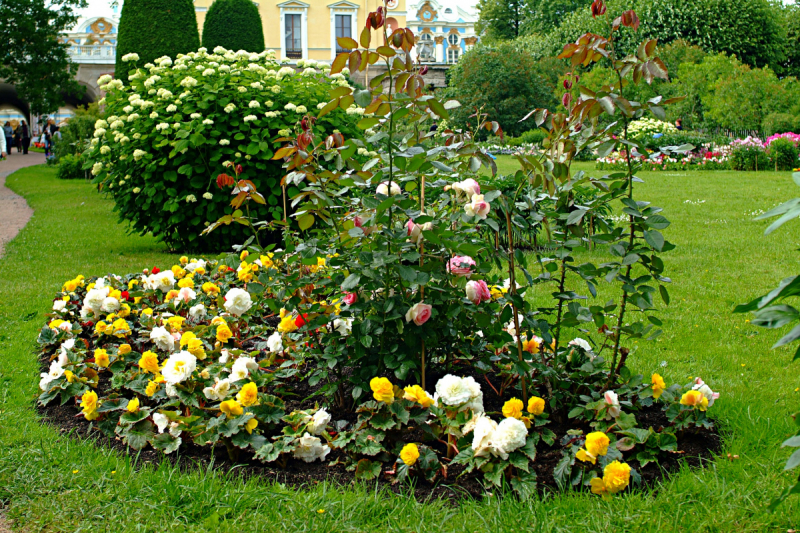 Форты Кронштадта, Баболовская ванна,Батарея на Красной Горке,Адамова Голова..