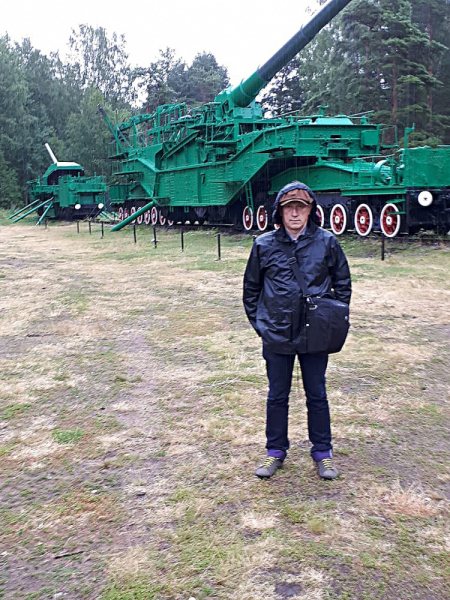 Форты Кронштадта, Баболовская ванна,Батарея на Красной Горке,Адамова Голова..