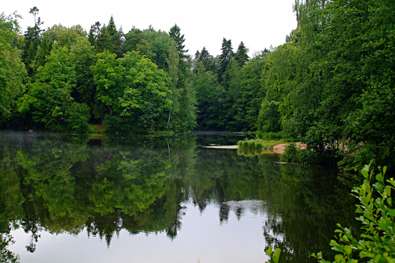 Форты Кронштадта, Баболовская ванна,Батарея на Красной Горке,Адамова Голова..