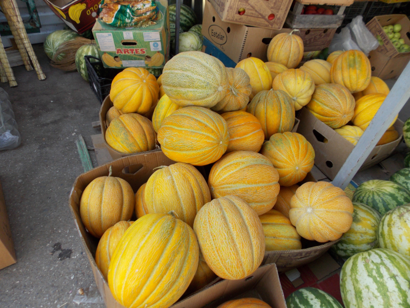 От Перми до Астрахани