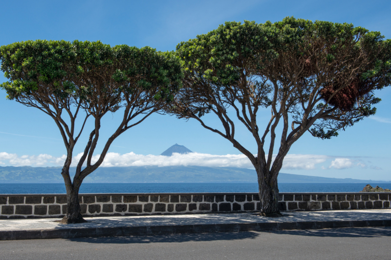 Азорские острова: Faial, São Jorge, Pico, Terceira. Яхтинг на Азорах Азорские острова: Faial, São Jorge, Pico, Terceira. Яхтинг на Азорах